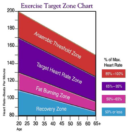 Exercise target zone chart